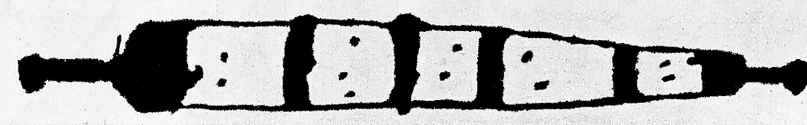 Fig 10. Drawing XXXIV Yperman (van Leersum 1912:290)