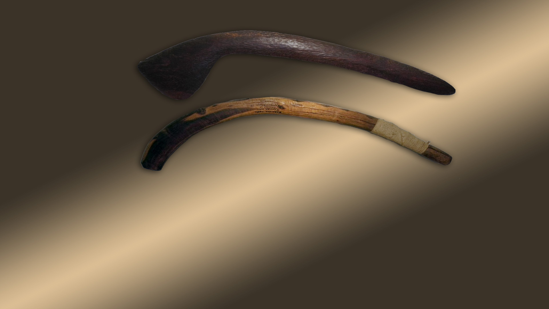 Throwing Sticks