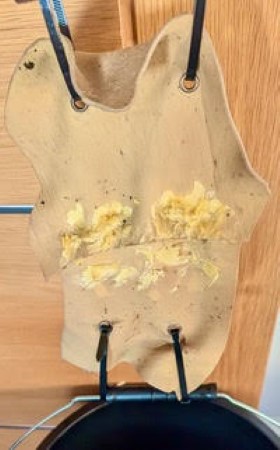 BW: the BW starts to crumble but it was still well adhered to the leather and the seam, hance kept the squares well attached.