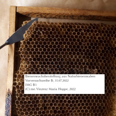 Auswahl eines Probenstücks Naturbienenwaben aus Bienenwabenträger I: Die Bienenwaben werden mit einem Künstlerspatel abgeschabt.