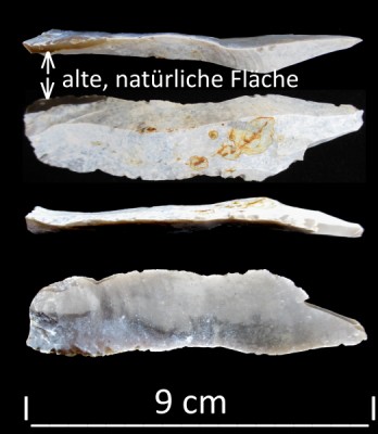 1 Fl.2 Stichelartig, Helfta 600.jpg